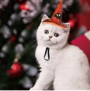  ybgXq nEB Halloween RE tNE WbN^ J{` ^ L  L[g   Lnbg Be  ybgpRXv EȒP 