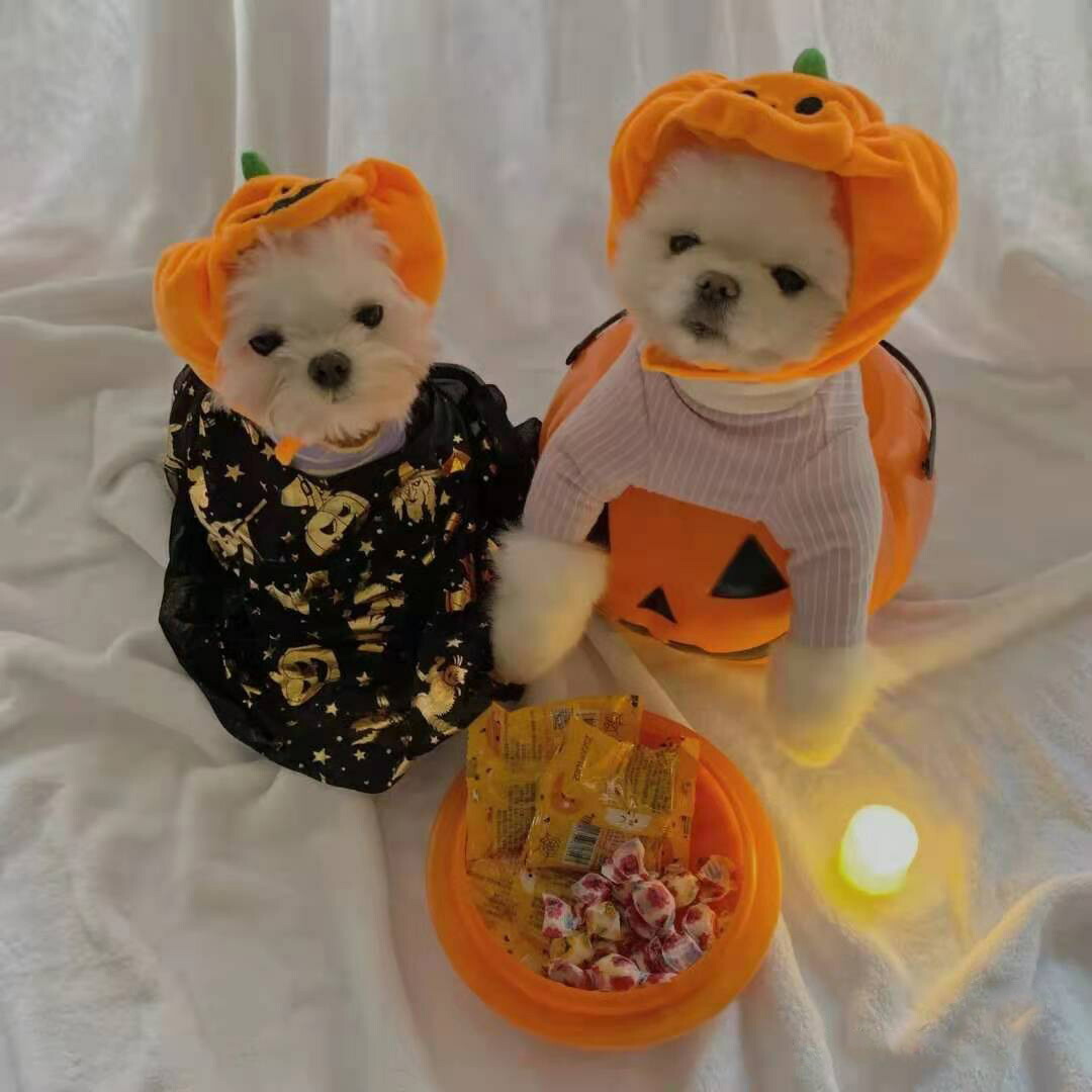 ハロウィン　かぼちゃランプ　帽子