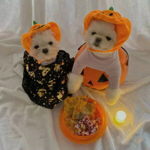  ybgXq nEB Halloween WbN^ J{`  ybg  Lnbg WbN^Xq ybgpRXv g ^ ybgXq ybgpR