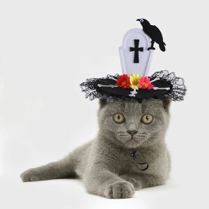  ybgXq nEB Halloween hN  ǂ NX  Lnbg ybgpRXv EȒP ^ L  hbOEFA\ [XXq  Be L[g