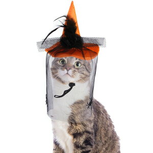  ybgXq nEB Halloween N w Lnbg ybgpRXv EȒP ^ L  L[g ϐgObY ybgpi hbOEFA J{` [X   