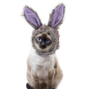  ybgXq nEB Halloween }WN^Cv   Lnbg ybgpRXv ETM \ rabbit  ~~ EȒP ^ L ւ ϐgObY  L[g hbO