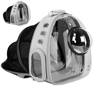 @ybg obO ybgpL[obO @@jR  ybgpi bNTbN@ubN@ybgobO Lp L ybgpL[obO@c-chongwu-8645-gg