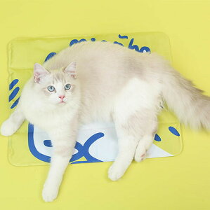  ybg}bg  hbO L Lbg ΍  ڐG⊴ Physical cooling MǏ΍ 40*50cm ₽ N[}bg Ђ  L p}bg ăybgpi  ⊴xbh