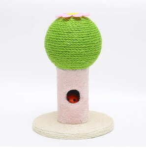  Lbg^[ JN^X T{e^Cv T{e ܂Ƃ|[ L ˂  ybgp   Vn XgXU ̃T{e {[ ܂Ƃ ^s