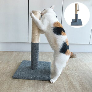 @܂Ƃ|[@Lbg^[ ܂Ƃ L ˂  ybgp  U ^s΍ Lpi lGKp O[@Lbg^[  Vn XgX c-chongwu-9103-gg