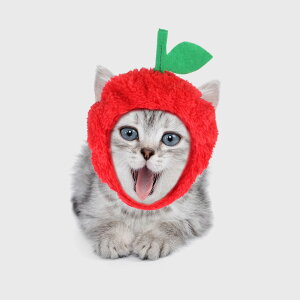  ybgXq nEB Halloween Apple  ւ   Lnbg ybgpRXv EȒP ^ L  L[g Abv  ь S 䙉 hbO