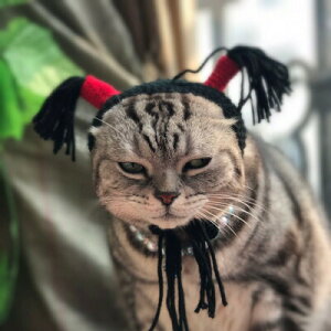  ybgXq nEB Halloween Lnbg ybgpRXv EȒP ^ L  L[g hbOEFA ʔ cCe[ ׂς   Be  