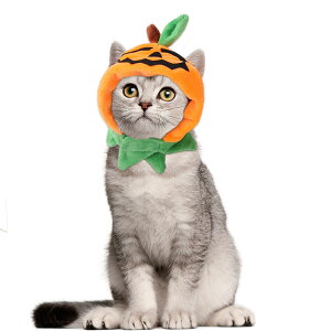  ybgXq nEB J{` Z }WN^Cv  Halloween  Lnbg ybgpRXv EȒP  ւ ϐgObY ^ L  L[g hbO