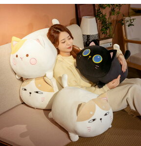 y50cmz ʂ S3fUC lR L Lbg cat L CeA q   v[g  ޏ ӂӂŖ ~PlR 傫  NbV _炩
