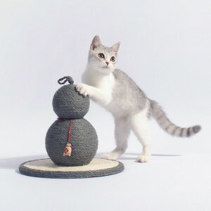  Lbg^[ S3J[ qE^ ܂Ƃ ܂Ƃ|[ L ˂  ybgp   Vn Z\ Ђ傤fUC XgXU ^s΍ Lpi 25*30cm l