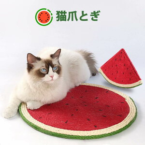  L ܂Ƃ }bg ܂ƂL watermelon orange x VRTCU Ƌ\t@ی ߂Ƃ XCJ IW ^sP lRpi L XNb`[ ܖ ϋv lR̒܂Ƃ