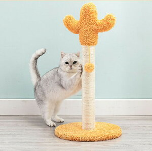  Lbg^[ JN^X T{e T{e^Cv L ˂  ybgp   Vn XgXU gȒP ܂Ƃ ܂Ƃ|[ ^s΍ Lpi 34*65cm Desert F