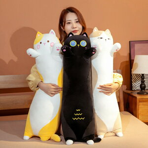 y110cmz ʂ S3fUC L cat  NbV CeA q    ޏ ӂӂŖ lR Lbg L ^`oi ʂ _炩 