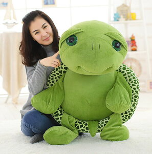 y120cmz J ʂ NTK LZK Mauremys reevesii  NbV CeBA [uXNTK q  傫  v[g  ޏ ӂӂ