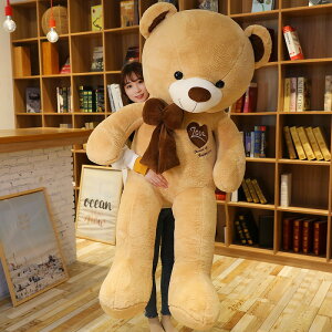 y160cmz ʂ S4J[ NbV CeA q    ޏ F bear _炩 N} xA 傫  ӂӂŖ Sn v[g Mtg c-w
