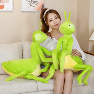 �y70*35cm�z�������� �ʂ������ �J�}�L�� �N�b�V���� �C���e���A �q�� �������� ���� ���� �ޏ��� �� �v���[���g Mantodea mantis ������ �ӂ�ӂ�Ŗ������ �_�炩 �S�n���� �M�t�g c-wanou-9288