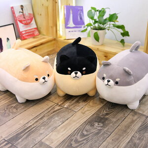  ʂ 50cm  CeA q   _炩 Sn v[g  킢 ޏ ӂӂŖ c-wanou-10573-gg