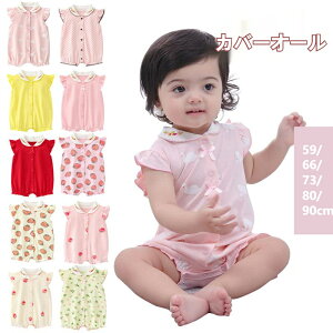  V xr[ pW} Jo[I[ p[X k  Ԃ  Rbg q t  H V OJ  xr[ [EGA {fBI[ oYj