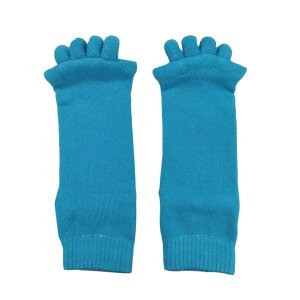 w L \bNX Xgb`\bNX C  ₦ ΍  [\bNX 5{w\bNX ObY fB[X Y tbgPA I[vi[  bNX K\bNX X[