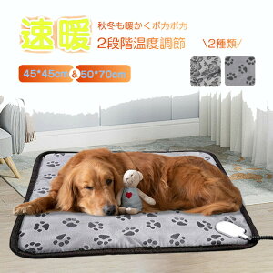 y20`}\Si10%OFF ybgq[^[  L ybg zbg}bg L ΍ ۉ Mpbh ybgp zbgJ[ybg q[^[ zbgJ[ybg dCѕz ybgpq