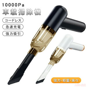 y20`}\Si10%OFF RpNg |@ nfBN[i[ R[hX|@ nfB[|@ z USB[d ԍڑ|@ nfB y ~j|@ R[hXN