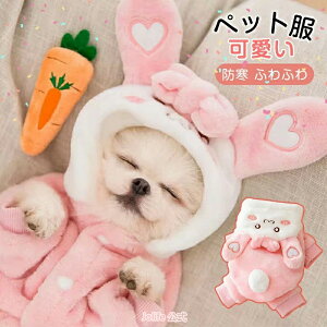 ybg L ETM RXvybg  H~ hbOEGA  ETM ϐg pRX`[ ETM ybgEFA p[J[ 2024N ETM   nEB NX}