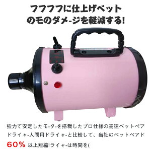 y500~N[|zybghC[ phC[@~JU@@Lk\z[X hofUC@啗ʁ@u[ } ጸ ^ɍœK@x