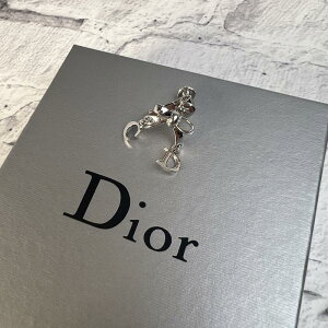 Dior fBI[ Ў CO Vo[ A-9036