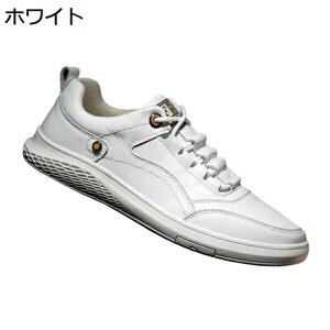 Xj[J[@Y@RtH[g@_炩@AEghA@₷@[XAbv@ϖՁ@yʁ@ʋC@K@₷@fbLV[Y@JWAV[Y@gh@ʊw