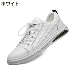 Xj[J[@Y@[XAbv@AEghA@₷@_炩@RtH[g@ϖՁ@yʁ@ʋC@K@₷@fbLV[Y@JWAV[Y@gh@ʊw