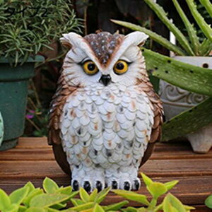 tNE u IuWF k F ӂ낤  A CeA K[fI[ig  ӂ낤  J^ObY  CeA |W tNẼCeA  