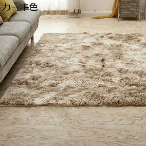 シャギーラグ 無地 1.5帖用 2畳 1.5畳 滑り止め付き 洗える 通気性 3畳用 カーペット 長方形 おしゃれ かわいい 遊び毛防止 オールシーズン 春夏用 こたつ敷き布団 60*90 防音効果 吸湿性 ピンク