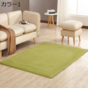 O 􂦂  ~ߕt RۖhL 40*60cm O}bg J[ybg  tl I[V[Y ͂  ~ g[Ή zbgJ[ybgΉ p^ EHbVu O~ r