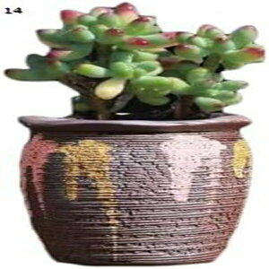 Aؔ  X^[|bg u[  Jo[ v K[fjO v^[ 10 K[fjO v^[ ^ [^ F y vX`bN y _ 10ɑΉ JCC 