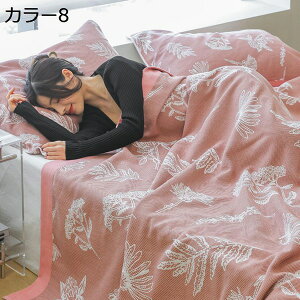 K[[Pbg@VO@6d@^IPbg@100@Rbg100@唻@_u@@_炩@Ԃ@q@TT@ct@Qp@z@ԁ@s@ʋC@