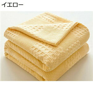 K[[Pbg@100ȁ@^IPbg@Ԃ@VO@唻@_u@q@@n@@ėp@TT@G@Q@Rbg100@ۈ牀@Ђ@ʋC