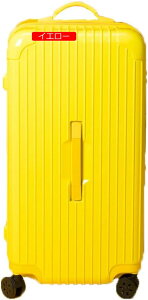 X[cP[X t@Xi[ [^ _uLX^[ TSA3bN 69L 64cm 3.9kg CG[