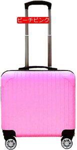 �X�[�c�P�[�X �L�����[�P�[�X DJ16 �L�����[�o�b�O �@���������݉� ���y�� ���s���΂� 16�C���` ss�T�C�Y ���s�o�b�N 2�`3�� (�z���C�g)