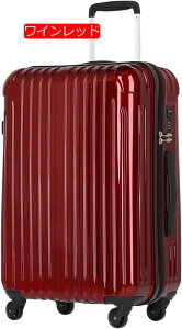 001 �X�[�c�P�[�X �@������ ���^ s�T�C�Y �L�����[�o�b�O �@���������݉� �L�����[�P�[�X �L�����[�o�b�N ���s�o�b�N TSA���b�N �n�[�h �t�@�X�i�[ �W�b�p�[�^�C�v suitcase �X�[�c�P