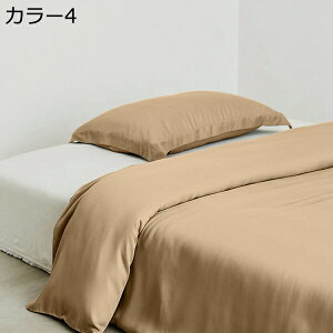 Ċ|zcJo[ tďH ڐG⊴ DG n  ʋC ÓdCh~ EȒP RۖhL z e͐悭  [΍ n cc