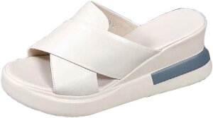  EFbW\[ ~[ T_  fB[X C r ~[T_ 傫TCY TCY q[6cm ~[ Xbp  ₷ RtH[gV[Y 