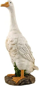 Ђ̒u { fR[V CeAG A Ő  Ɗ 炵 Aq I[ig IuWF G K[f K[fjO CeA  K[fIuWF 