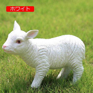 u AEghA IV rO IuWF r Aj} Vv i` G 蕨 ObY LOi B Mtg W 蕨 }XRbg zCg bNX qcW C