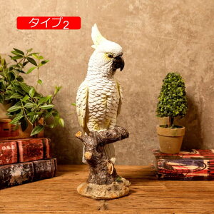  IuWF  Ƃ u  ̒ ɒuIuWF IuWF ZLZCCR ^Cv  Ԓd x_ _ ̏ K[fI[ig ̎G u F 