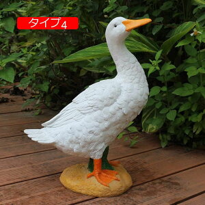 K[fIuWF W IuWF CeA }XRbg _bN ̒u  O i ϓ | K[fG 낪ɂ₩ 傫 F tBMA { 