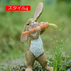 K[f K[f ETM̒u h ϋv i OETM̒u CeAG K[f  u | 낢 eq IuW X^C2 