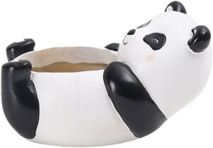 Aؔ A  ^Cv11  ^~jAؔ ʔ z[fR[V  ꌊ T{e  NGCeBu  ~A v^[ Ƒ F v[g I