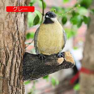 K[fI[ig  u  K[fjOG B K[fIuWF   CeA AEghA   fR[V v[g Mtg IuWF  I[ig