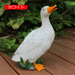 K[fI[ig Aq 킢 u  I[ig zCg K[f _bN  Ђ K[fIuWF K[fjO  킢Aq  K[fjO IuW